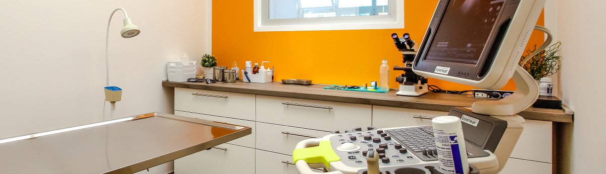 veterinarska ambulanta split