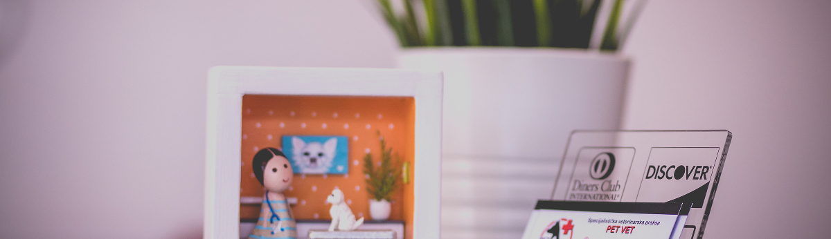 u ambulanti pet vet split